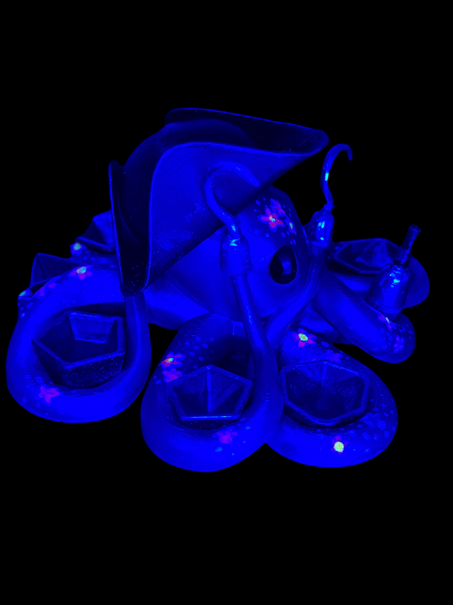 Octopus’s Garden