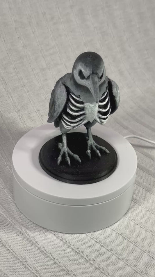 Corvid’s Confidence